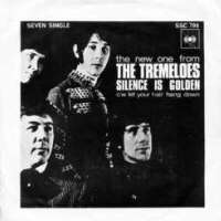 picture sleeve