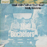 picture sleeve