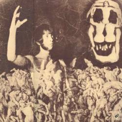 album back cover