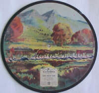 picture disc