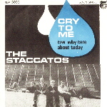 scan