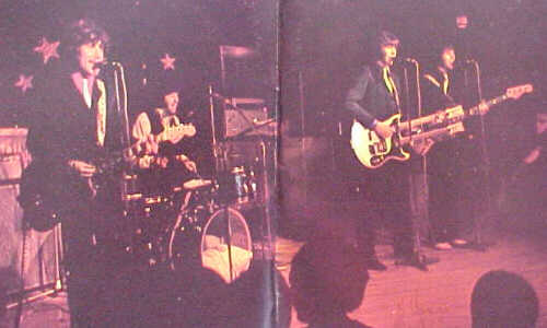 Tremeloes